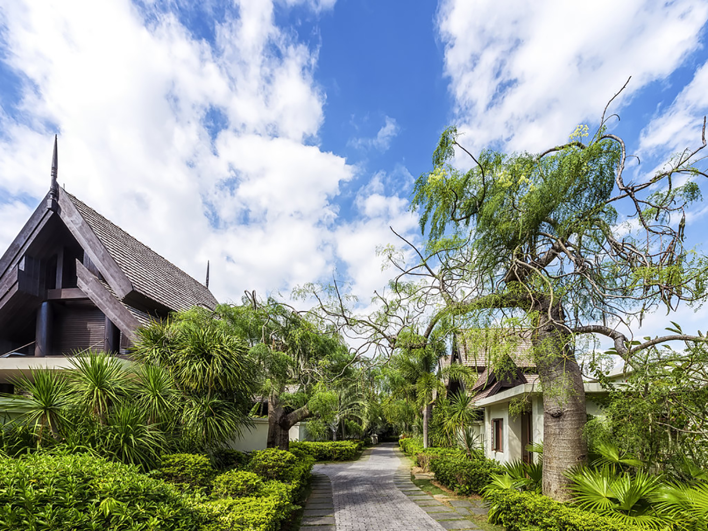 20211217/a01ade231f626525f504658af1f73c6e.jpg 20211217/a01ade231f626525f504658af1f73c6e.jpg